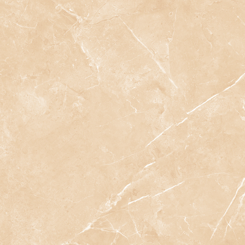 SAVANA-21.A.612.1912